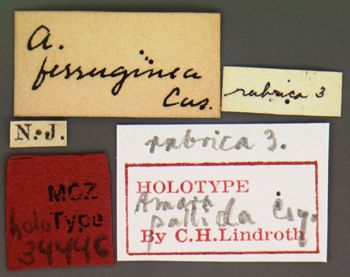 Media type: image;   Entomology 34446 Aspect: labels